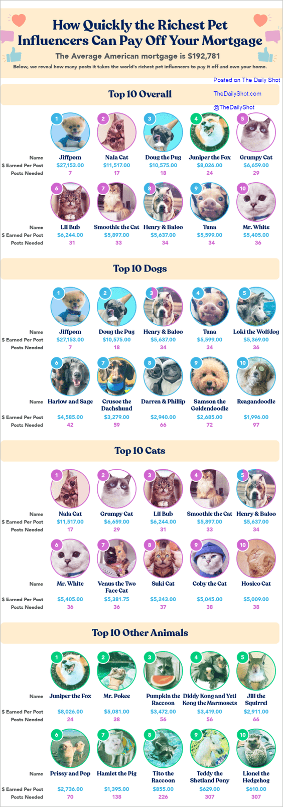 richest pet influencer chart
