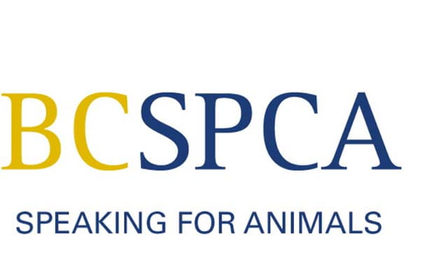 BCSPCA Speaking for Animals logo